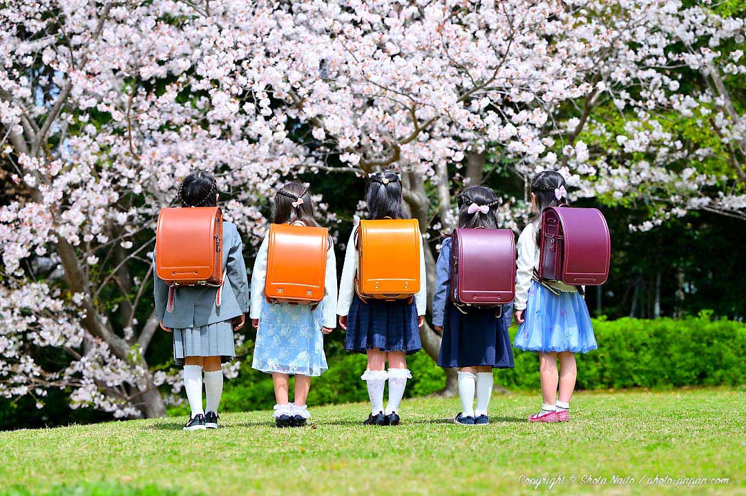 桜咲く春、新小学1年生達のランドセル姿写真